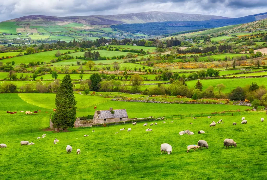 Northern Ireland