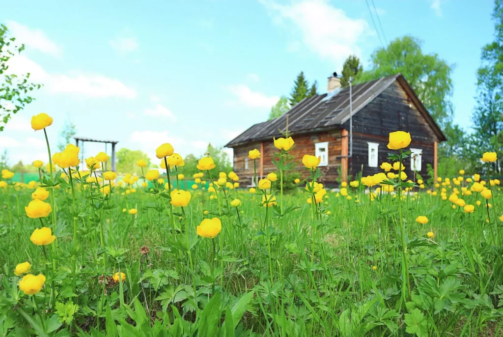 property characteristics that may influence a negative credit decision