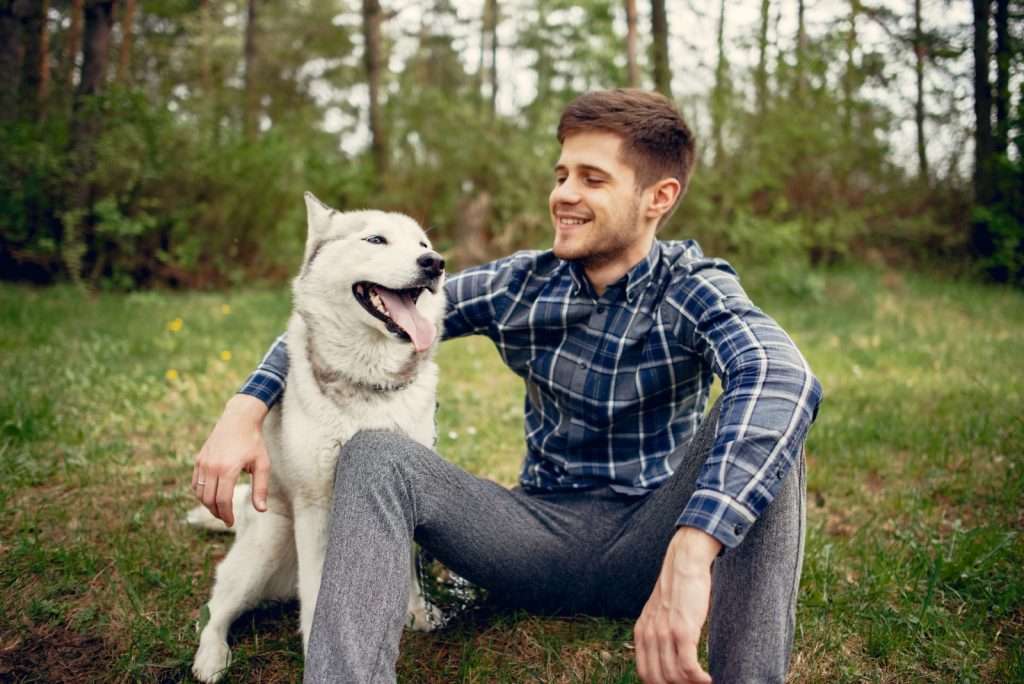 Why do I need cat or dog insurance in the UK?