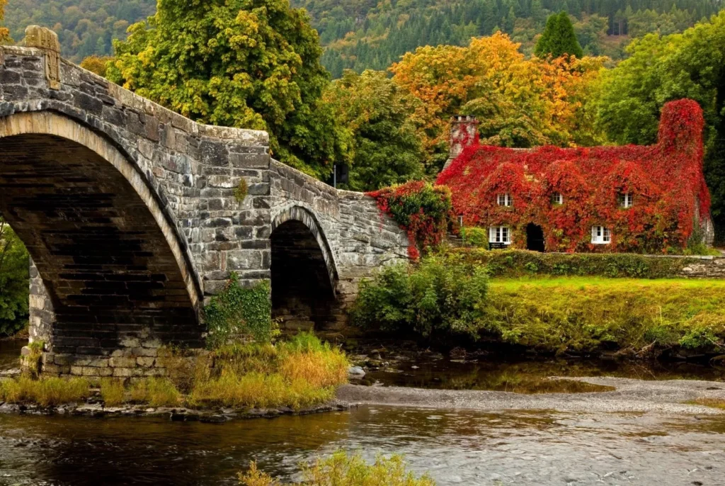 Support schemes and buying property in the UK
